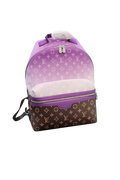 Lou V Bag